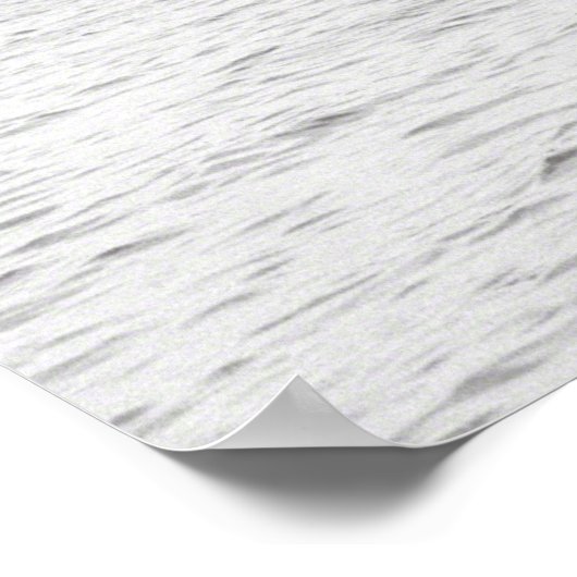 SS Rex Poster (Hoek)