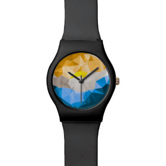 SS Watch Polshorloge