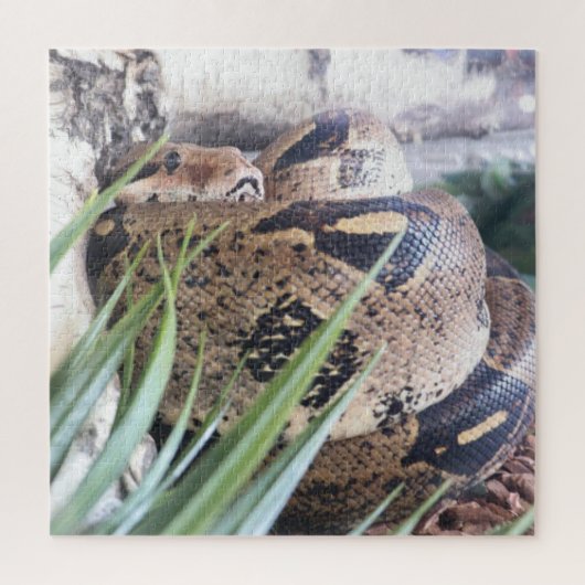 Ssssluimerpuzzel Legpuzzel (Verticaal)