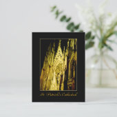 "St. Activiteiten in de omgeving van Patrick's Cat Briefkaart (Staand voorkant)