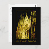 "St. Activiteiten in de omgeving van Patrick's Cat Briefkaart (Voorkant / Achterkant)