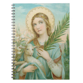 St. Agnes van Rome (MH 01) Notitieboek