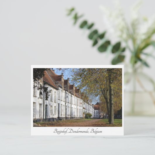 St. Alexiusbegijnhof, Dendermonde, België. Briefkaart (Staand voorkant)