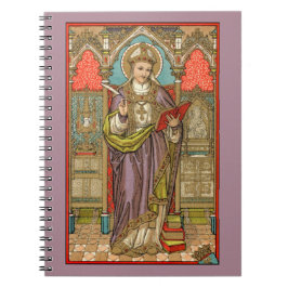 St. Alphonsus Liguori (VVP 005) Notitieboek
