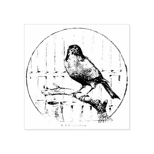  St.Andreasberg Canary Stamp Rubberstempel (Afrduk)