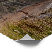 St Andrew's Castle Ruins Poster (Hoek)