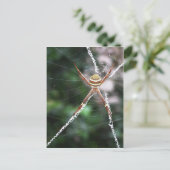 St Andrews Cross Spider Briefkaart (Staand voorkant)