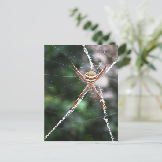 St Andrews Cross Spider Briefkaart (Staand voorkant)