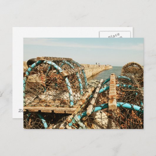 St Andrews Harbor Briefkaart (Voorkant / Achterkant)