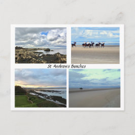 St Andrews Scotland Beaches, West Sands, Paarden Briefkaart