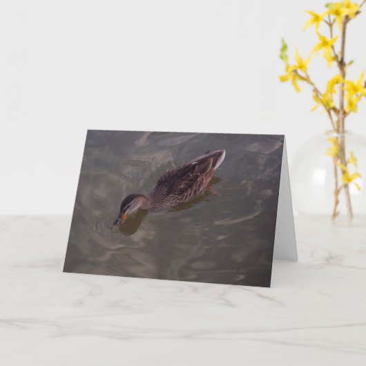 "St. Anthony Duck #2" Hartelijk dank Kaart (Gele Bloem)