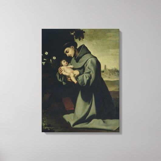 St. Anthony van Padua Canvas Afdruk (Voorkant)