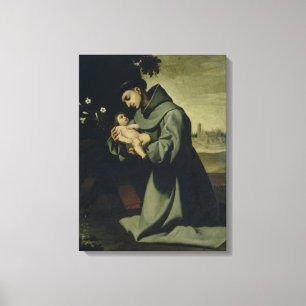 St. Anthony van Padua Canvas Afdruk