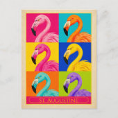 St. Augustine ansichtkaart Florida Flamingo Vintag Briefkaart (Voorkant)