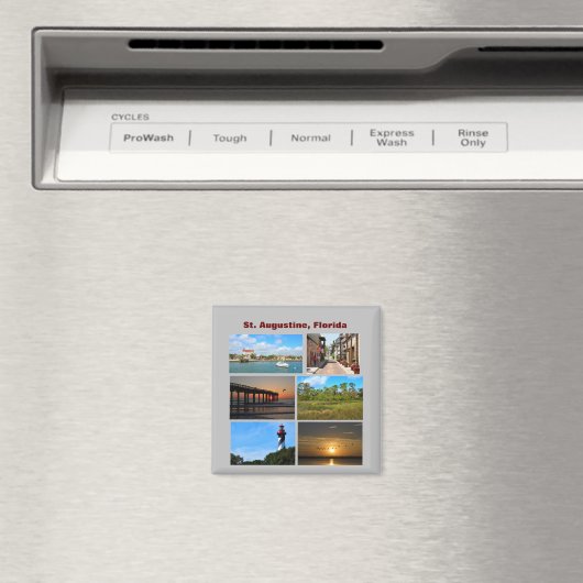 St. Augustine Beach, Florida Magneet (Insitu (Vaatwasser))