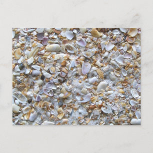 St. Augustine Beach Sand. Tiny Shells Florida Briefkaart