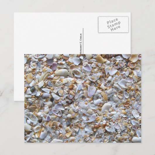 St. Augustine Beach Sand. Tiny Shells Florida Briefkaart (Voorkant / Achterkant)