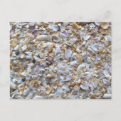 St. Augustine Beach Sand. Tiny Shells Florida Briefkaart (Voorkant)