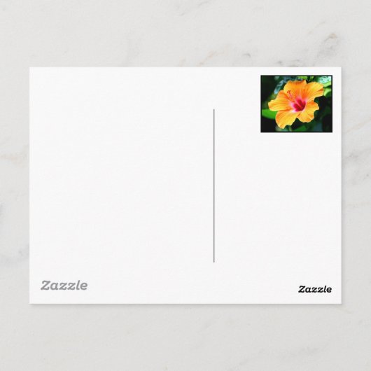 St. Augustine Briefkaart (Achterkant)