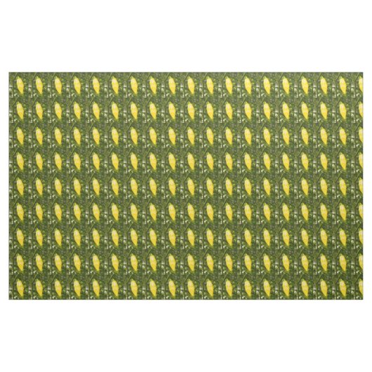 ST. AUGUSTINE DATIL PEPPER STOF (Yard (91,4 cm))