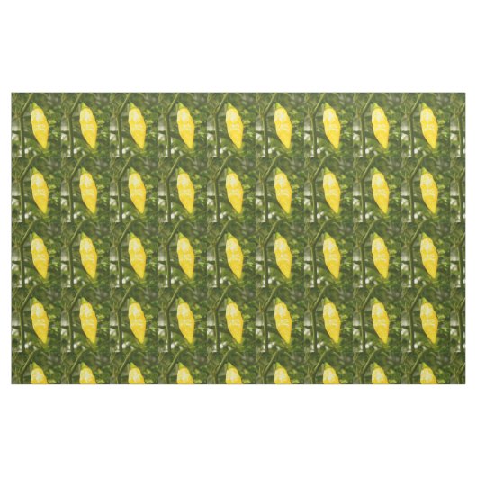 ST. AUGUSTINE DATIL PEPPER STOF (Fat Quarter)