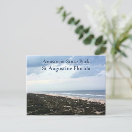 St Augustine FL Anastasia State Park Briefkaart (Staand voorkant)