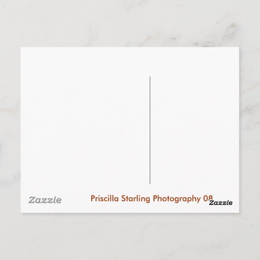 St Augustine, FL. Briefkaart (Achterkant)