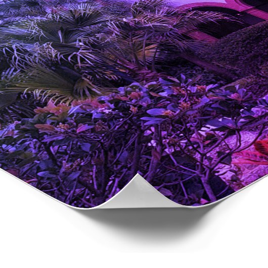 St. Augustine, FL - Ponce de Leon Hotel Poster (Hoek)