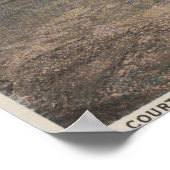 St. Augustine, Florida - Bird's Eye of Ft. Mario Poster (Hoek)