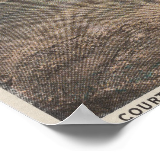 St. Augustine, Florida - Bird's Eye of Ft. Mario Poster (Hoek)