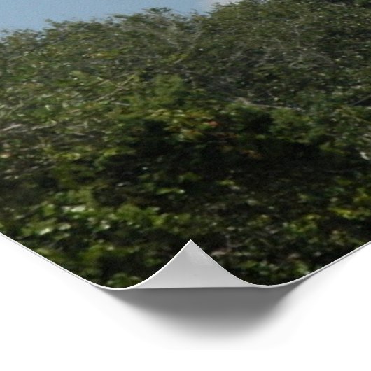 St Augustine Florida Lighthouse Poster (Hoek)