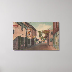 St. Augustine, Florida - Uitzicht van St. George S Canvas Afdruk