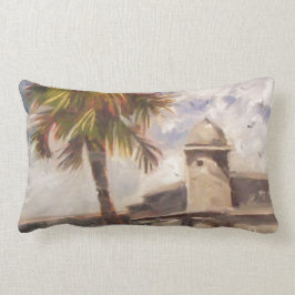 St. Augustine Fort - Castillo de san Marcos Kussen