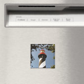 St. Augustine Lighthouse, Florida Magnet (Insitu (Vaatwasser))