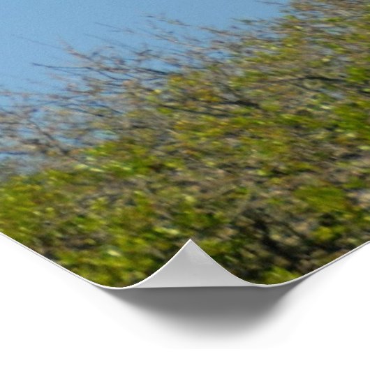 St Augustine Lighthouse Poster (Hoek)