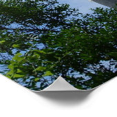 St. Augustine Lighthouse Poster (Hoek)