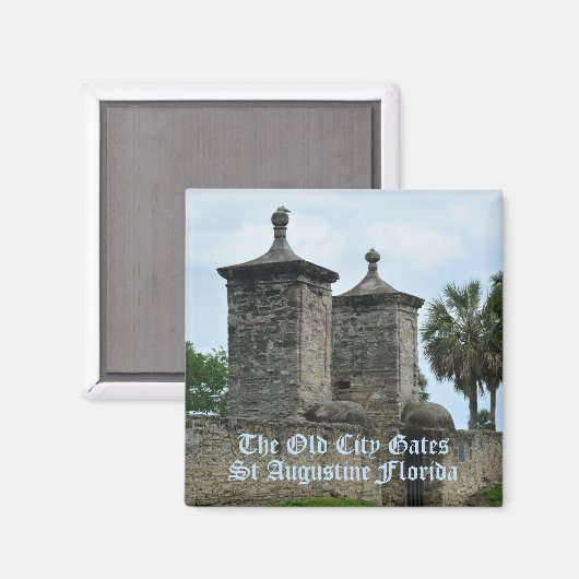 St Augustine Old City graast Historic Florida Magneet (Voorkant / Achterkant)