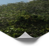 St. Augustinus, vuurtoren van Florida Poster (Hoek)