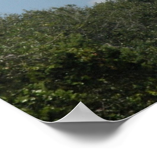 St. Augustinus, vuurtoren van Florida Poster (Hoek)