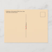 St. Barbara (JP 01) Ansichtkaart 1 Briefkaart (Achterkant)