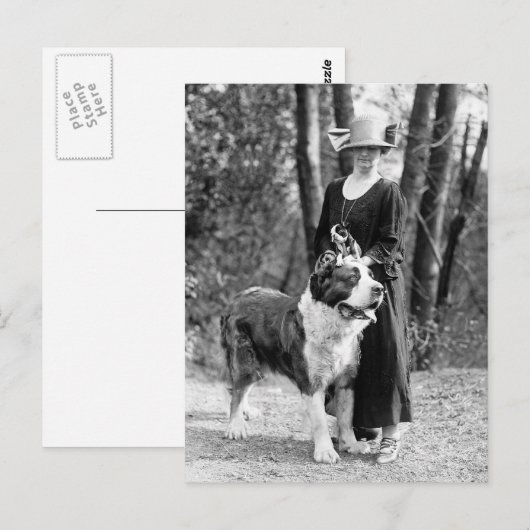 St Bernard & Boston Terrier, 1925 Briefkaart (Voorkant / Achterkant)
