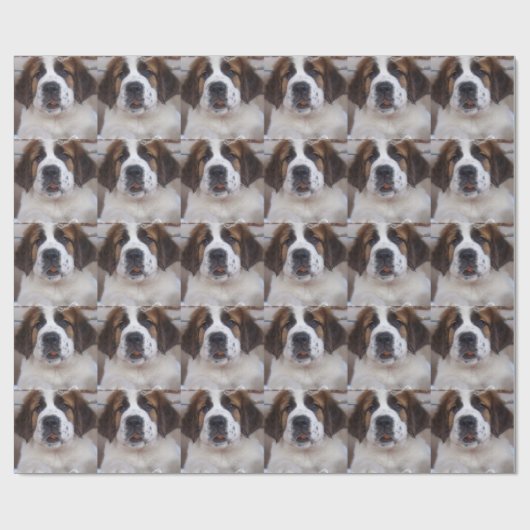 St Bernard Cadeaupapier (Vlak)