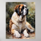St. Bernard Dog Art Print Poster (Voorkant)