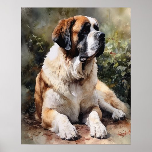 St. Bernard Dog Art Print Poster (Voorkant)