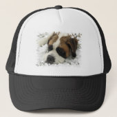 St Bernard Dog Baseball Hat Trucker Pet (Voorkant)