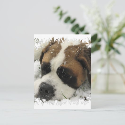 St Bernard Dog Briefkaart (Staand voorkant)