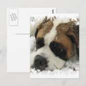 St Bernard Dog Briefkaart (Voorkant / Achterkant)