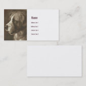 St. Bernard Dog Illustration Visitekaartje (Voorkant / Achterkant)