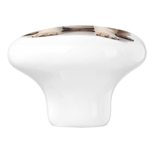 St. Bernard Dog Keramische Knop (Zijkant)