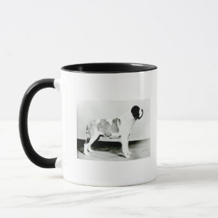 St. Bernard Dog Mok